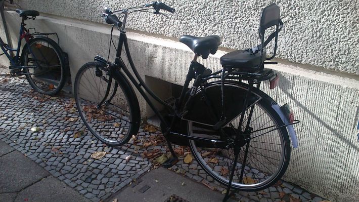 Niederlande. Drei Kinder sitzen in einem speziellen Fahrrad-Korb