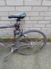 Kuwahara Rennrad Crossrad: