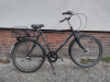 Rana Negra Froschrad: