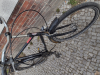 Rana Negra Froschrad: