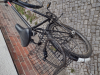 Rana Negra Froschrad: