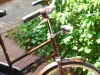 Holland Tandem Bike:
